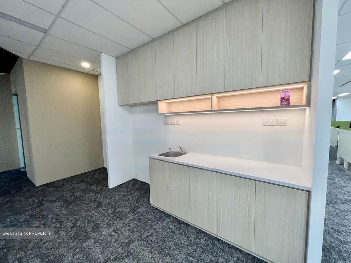 Abi Plaza (D2), Office #455331131